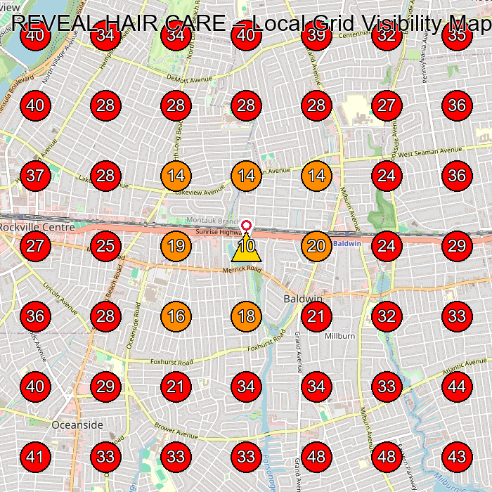 REVEAL HAIR CARE GeoGrid visibility map for Beauty Salon in Baldwin